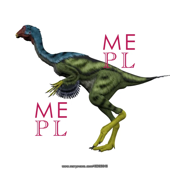 : Caudipteryx flightless bird, white background : Caudipteryx flightless bird, white background
