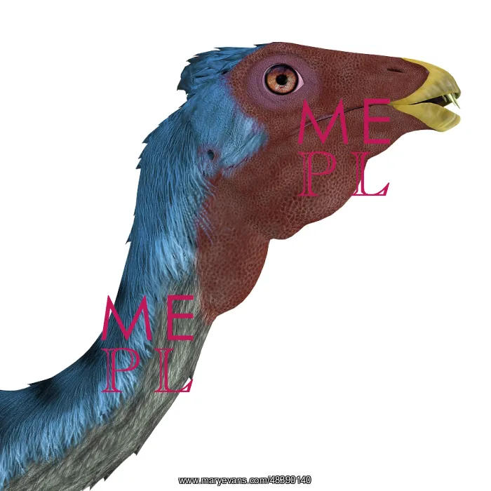 : Caudipteryx portrait : Caudipteryx portrait