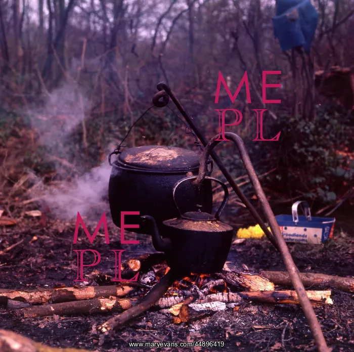 : Cauldron and kettle at a gipsy encampment : Cauldron and kettle at a gipsy encampment