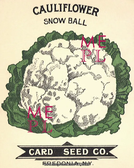  : Cauliflower Seed Packet