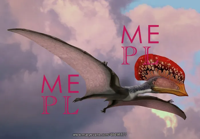  : Caupedactylus ybaka, an extinct pterosaur from the ?