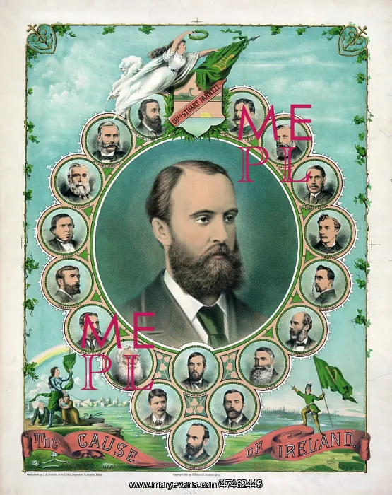: The cause of Ireland : The cause of Ireland