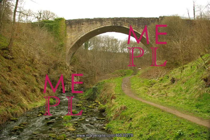 : Causey Arch, County Durham : Causey Arch, County Durham