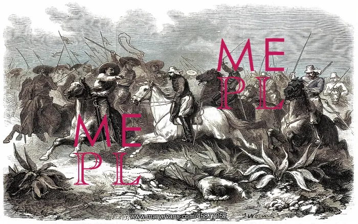 : CAVALRY IN ACTION : CAVALRY IN ACTION