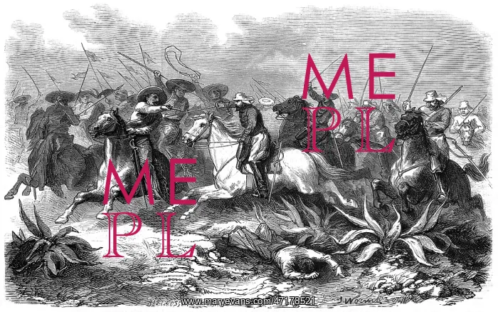 : CAVALRY IN ACTION : CAVALRY IN ACTION