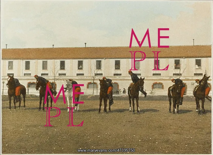  : CAVALRY ON AND OFF