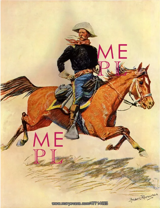  : A Cavalry Officer