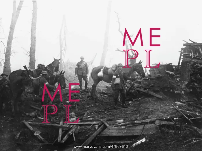 : Cavalry reconnaisance party 1917 : Cavalry reconnaisance party 1917