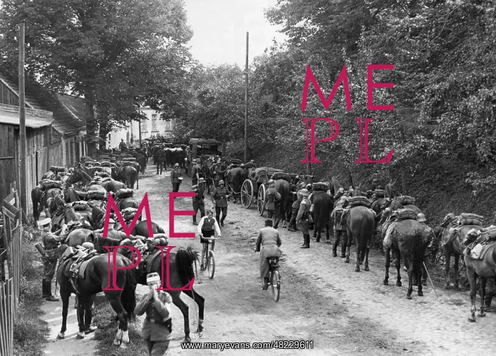 : Cavalry Regiment of the Wehrmacht during a maneuver, 193 : Cavalry Regiment of the Wehrmacht during a maneuver, 193