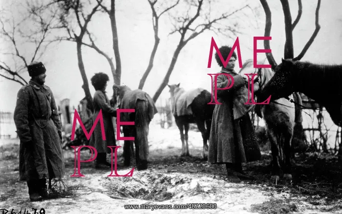 : Cavalry in Russia : Cavalry in Russia