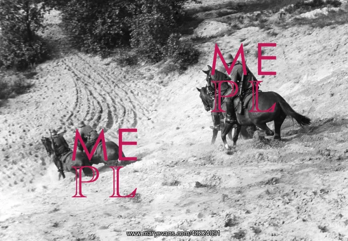 : Cavalry of the Wehrmacht in the 30s : Cavalry of the Wehrmacht in the 30s