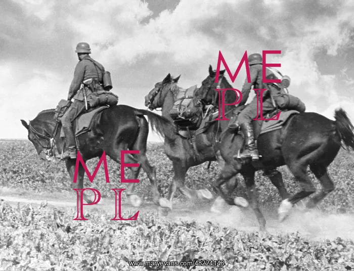 : Cavalry of the Wehrmacht in the 30s : Cavalry of the Wehrmacht in the 30s