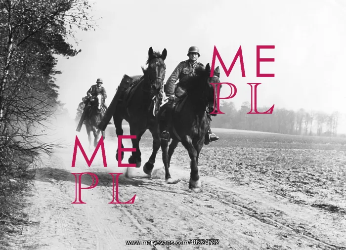 : Cavalry of the Wehrmacht in the 30s : Cavalry of the Wehrmacht in the 30s