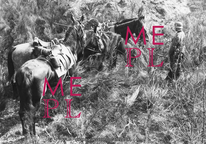 : Cavalry of the Wehrmacht in the 30s : Cavalry of the Wehrmacht in the 30s