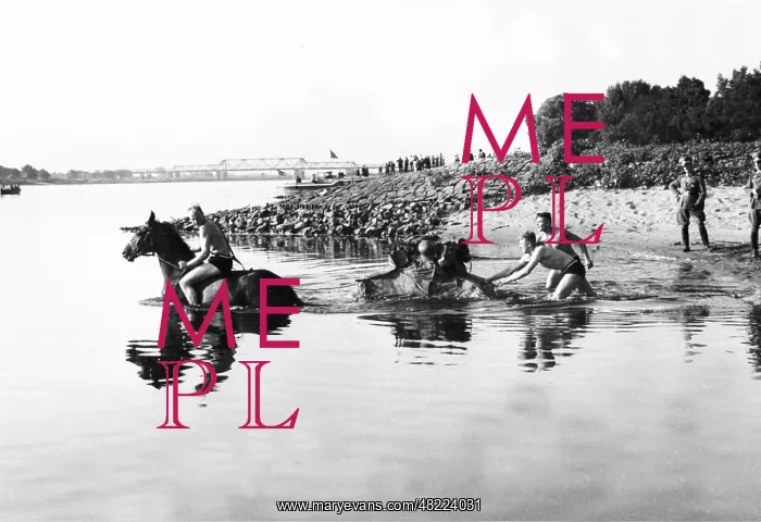 : Cavalry of the Wehrmacht crosses a river in the 30s : Cavalry of the Wehrmacht crosses a river in the 30s