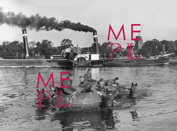 : Cavalry of the Wehrmacht while crossing a river in the 3 : Cavalry of the Wehrmacht while crossing a river in the 3