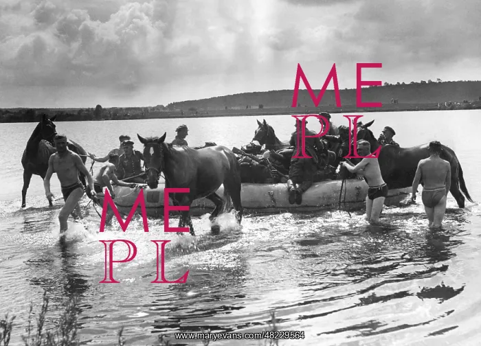 : Cavalry of the Wehrmacht during an exercise on the Oder : Cavalry of the Wehrmacht during an exercise on the Oder