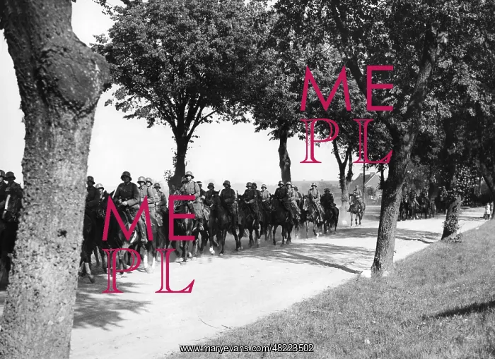: Cavalry of the Wehrmacht during a maneuver in the 30s : Cavalry of the Wehrmacht during a maneuver in the 30s