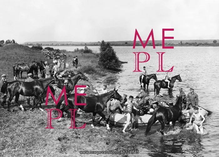 : Cavalry of the Wehrmacht practices river crossing in the : Cavalry of the Wehrmacht practices river crossing in the