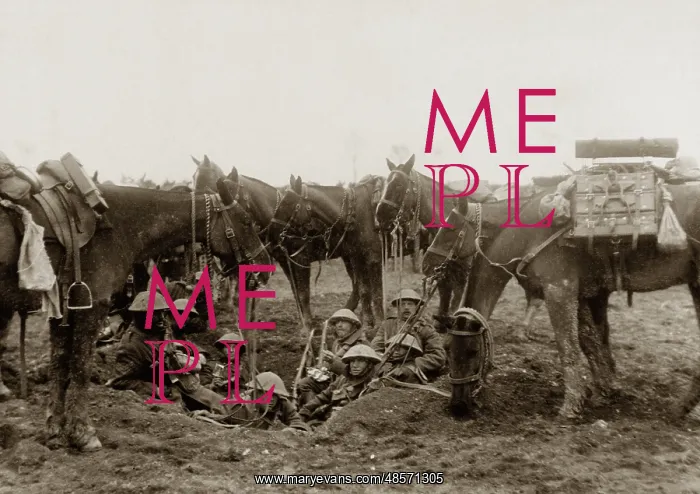  : Cavalrymen resting in a shell hole
