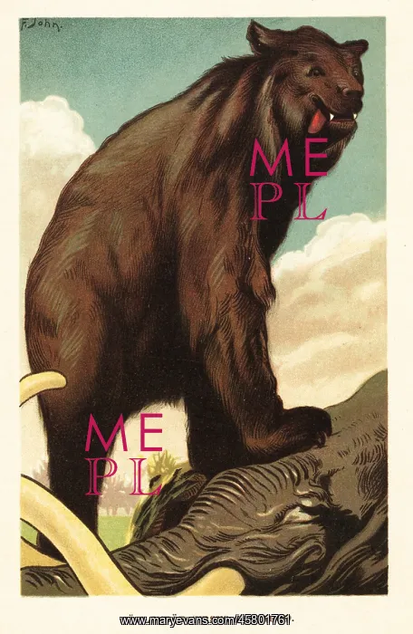 : Cave bear, Ursus spelaeus, standing on a mammoth : Cave bear, Ursus spelaeus, standing on a mammoth