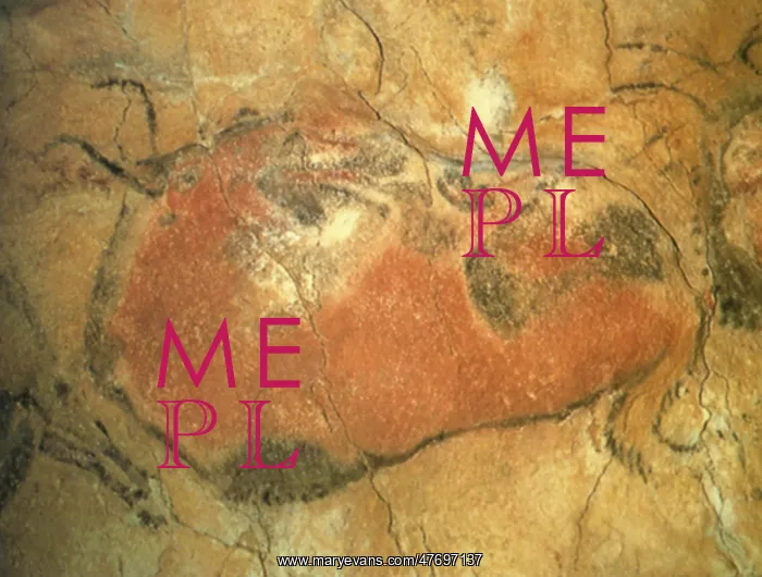  : Cave Painting of Bull