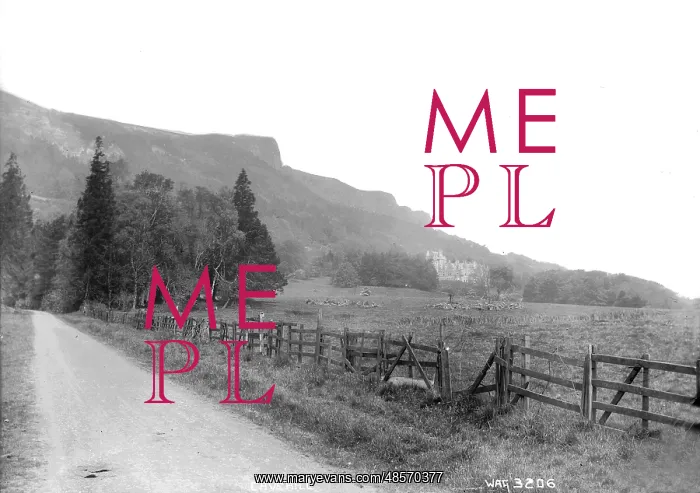: Cavehill - a view up a road looking obliquely at Belfast Castle and Cave Hill : Cavehill - a view up a road looking obliquely at Belfast Castle and Cave Hill