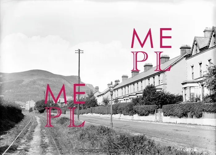 : Cavehill, Belfast : Cavehill, Belfast