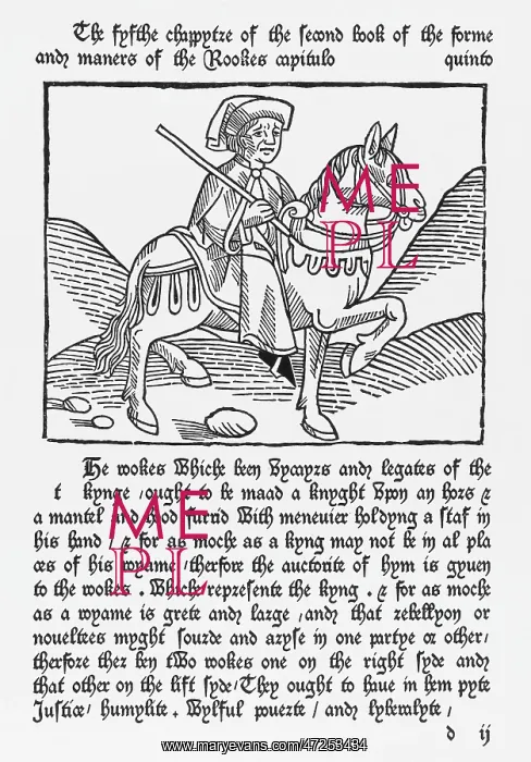 : CAXTON / ROOK : CAXTON / ROOK