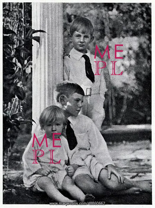 : Cazneaux Advertisement : Cazneaux Advertisement
