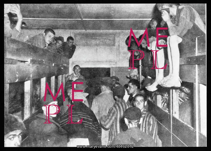 : C.CAMPS / INMATES : C.CAMPS / INMATES