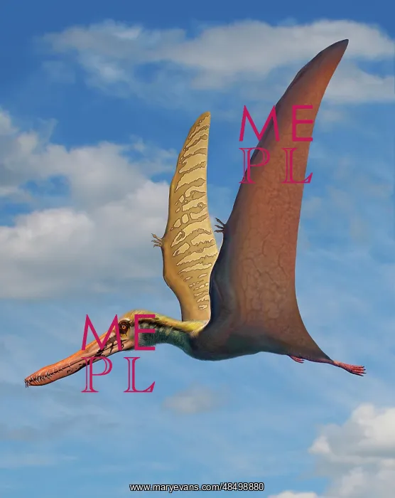: Cearadactylus atrox, a large pterosaur from the Cretaceous ? : Cearadactylus atrox, a large pterosaur from the Cretaceous ?