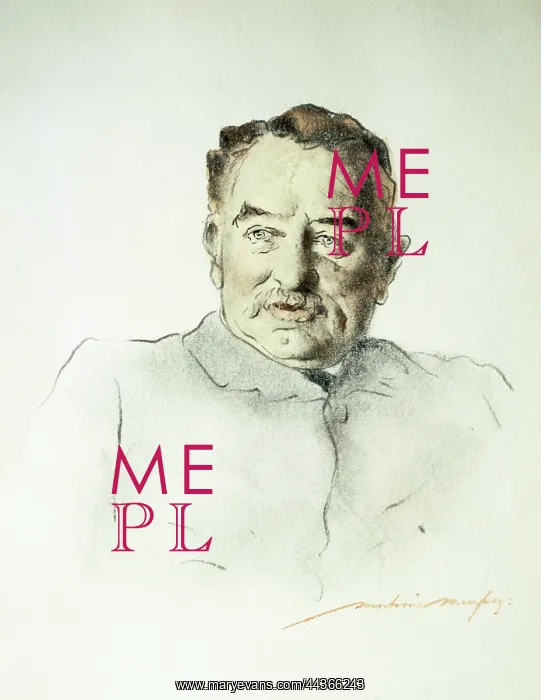 : Cecil John Rhodes aged 47, circa 1900 : Cecil John Rhodes aged 47, circa 1900