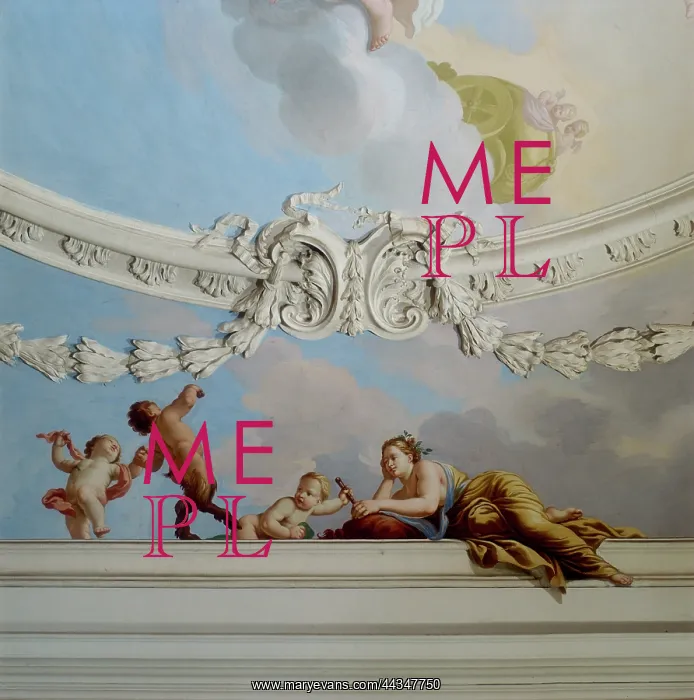 : Detail of the ceiling in : Detail of the ceiling in