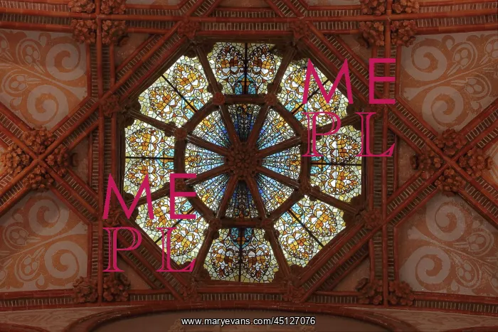 : Ceiling, Administration Pavilion, Hospital de : Ceiling, Administration Pavilion, Hospital de