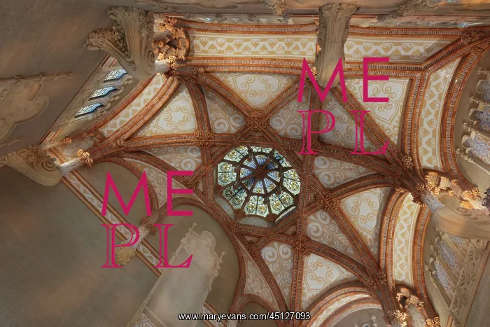 : Ceiling, Administration Pavilion, Hospital de : Ceiling, Administration Pavilion, Hospital de