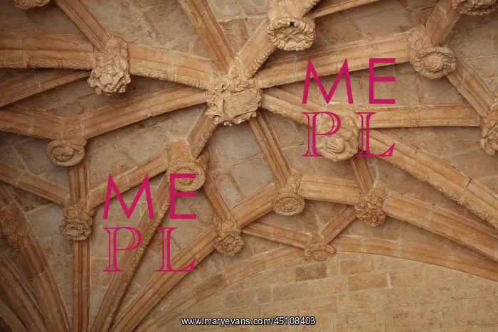 : Ceiling, Arcade, Cloister, Jeronimos Monastery : Ceiling, Arcade, Cloister, Jeronimos Monastery