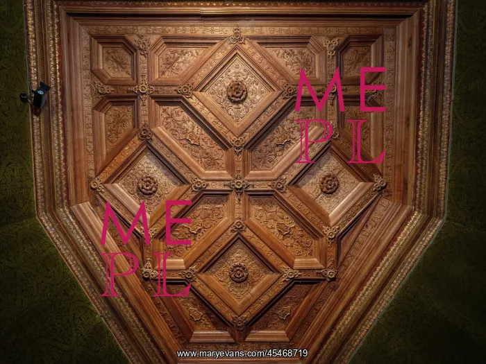 : Ceiling, Cabinet Vert, Chateau de Chenonceau : Ceiling, Cabinet Vert, Chateau de Chenonceau