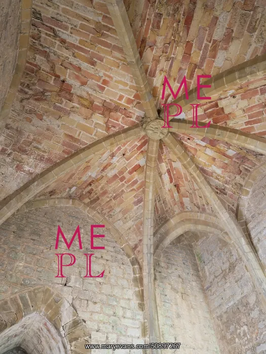 : Ceiling, Chapel, Keep, Chateau de Puivert, Puivert, France : Ceiling, Chapel, Keep, Chateau de Puivert, Puivert, France