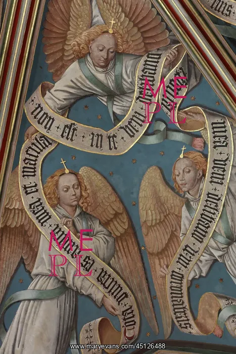 : Ceiling, Chapel, Palais Jacques Coeur, Bourges, France : Ceiling, Chapel, Palais Jacques Coeur, Bourges, France