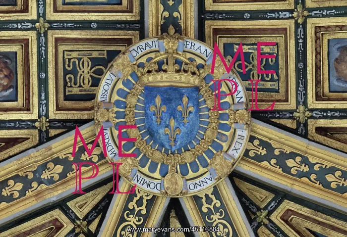 : Ceiling, Chapelle Haute Saint-Saturnin, Chateau : Ceiling, Chapelle Haute Saint-Saturnin, Chateau