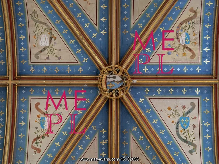: Ceiling, Chapelle Saint-Calais, Chateau Royal de Blois : Ceiling, Chapelle Saint-Calais, Chateau Royal de Blois