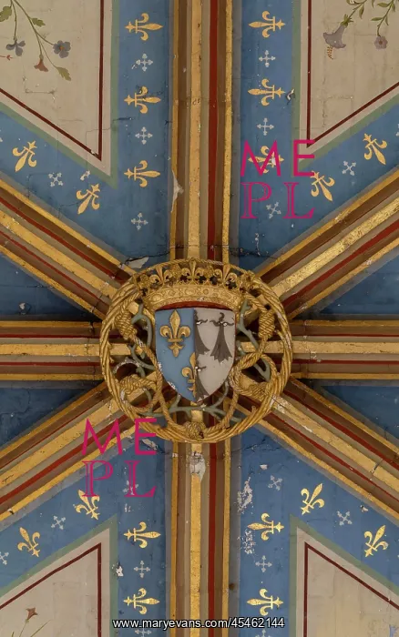 : Ceiling, Chapelle Saint-Calais, Chateau Royal de Blois : Ceiling, Chapelle Saint-Calais, Chateau Royal de Blois