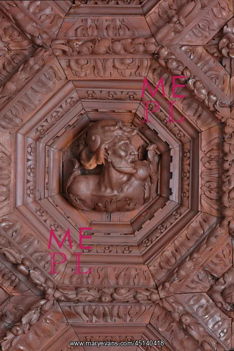: Ceiling, Charles V Ceiling Room, Mudejar Palace : Ceiling, Charles V Ceiling Room, Mudejar Palace