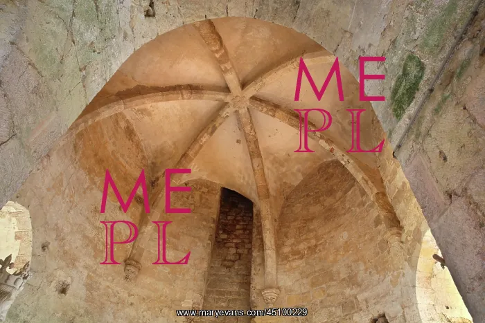 : Ceiling, communal hall, donjon, Chateau de Dourdan, France : Ceiling, communal hall, donjon, Chateau de Dourdan, France