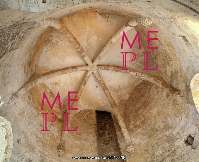 : Ceiling, communal hall, donjon, Chateau de Dourdan, France : Ceiling, communal hall, donjon, Chateau de Dourdan, France