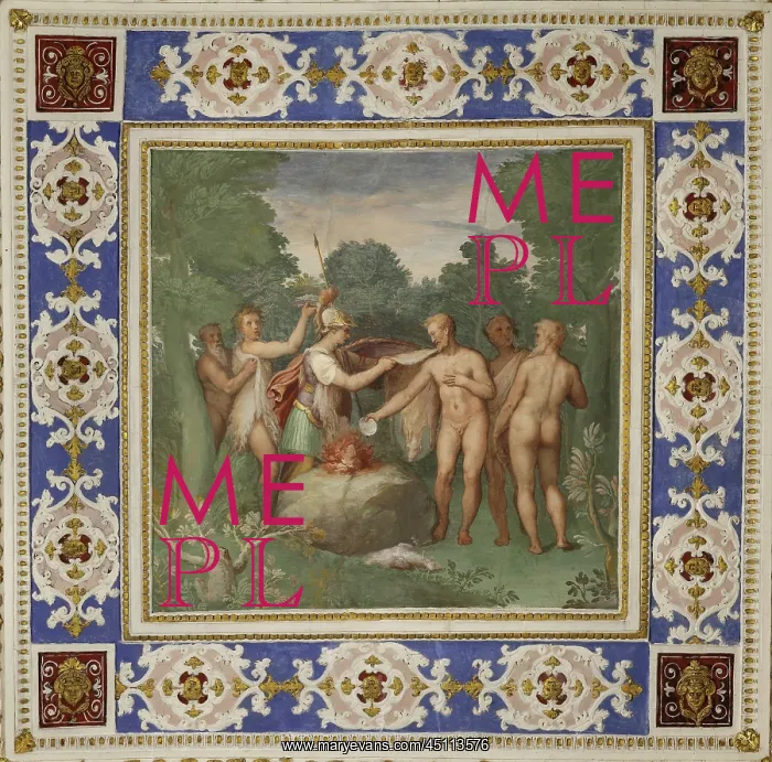 : Ceiling fresco, Room of the Woolmakers, Villa : Ceiling fresco, Room of the Woolmakers, Villa