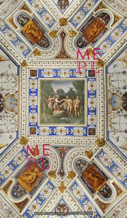 : Ceiling fresco, Room of the Woolmakers, Villa : Ceiling fresco, Room of the Woolmakers, Villa