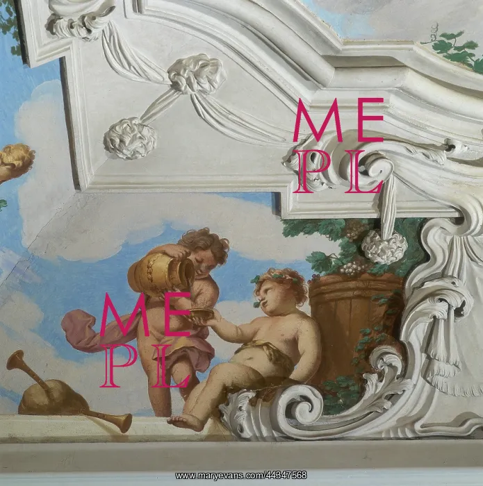 : Detail of the ceiling frescoes : Detail of the ceiling frescoes