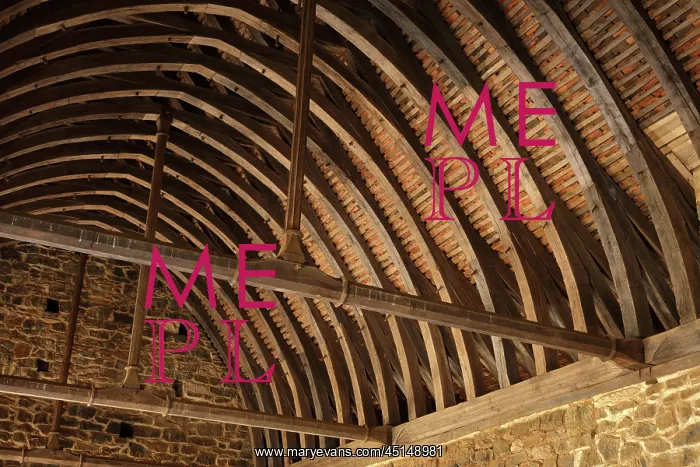 : Ceiling, Great Hall, North Range, Chateau de Guedelon : Ceiling, Great Hall, North Range, Chateau de Guedelon